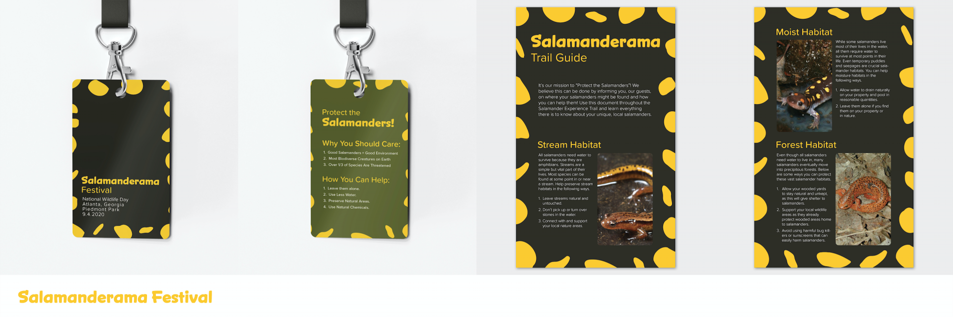 Several photos of laniard card and a info sheet about the salamander festival.